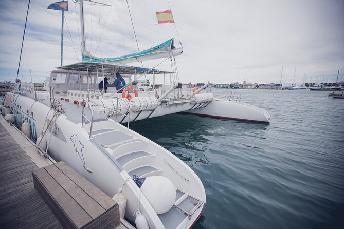 A day at Sea aboard Mundo Marino Catamaran in Valencia - If the catamaran sails less, here is how to adjust your expectations