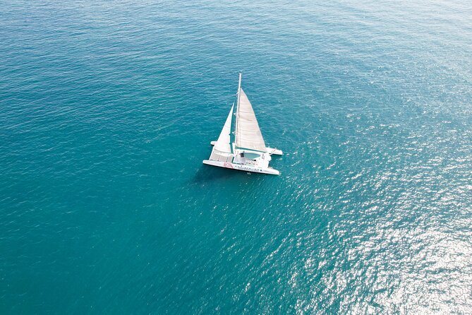 A day at Sea aboard Mundo Marino Catamaran in Valencia - How to plan your gear for the net-and-swim style