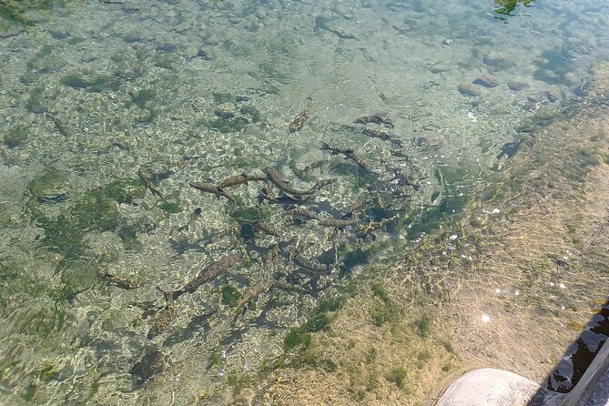 A day tour in Montanejos hot springs. - Getting Back to Valencia: A Simple Ending