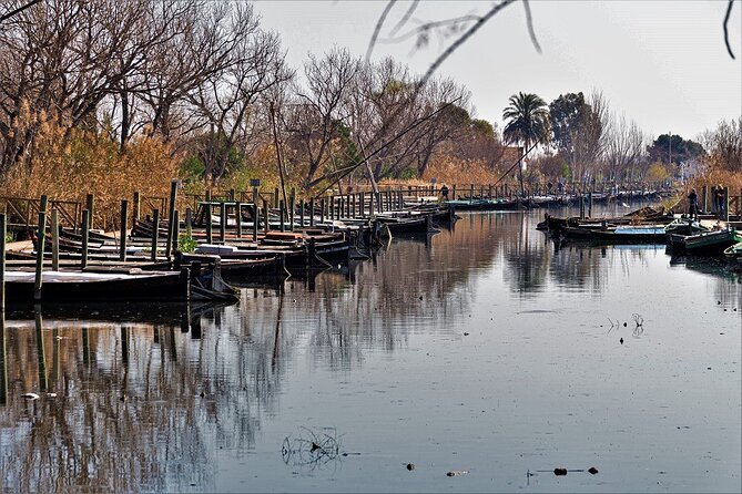 Albufera: Lake, Paella and Birdwatching - Why Albufera Is More Than a Scenic Stop