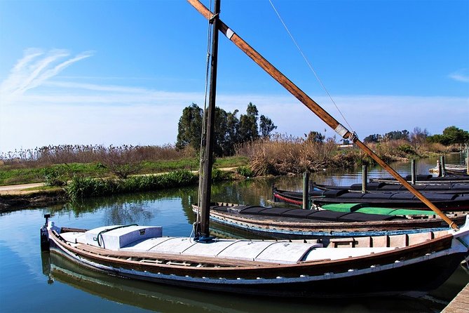 Albufera: Lake, Paella and Birdwatching - Transport, Timing, and Group Size: The Comfort Factor