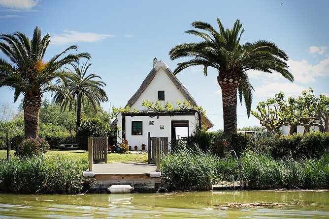 Albufera Natural Park with Sunset Boat Tour from Valencia - Price and value: is $46.96 per person fair?