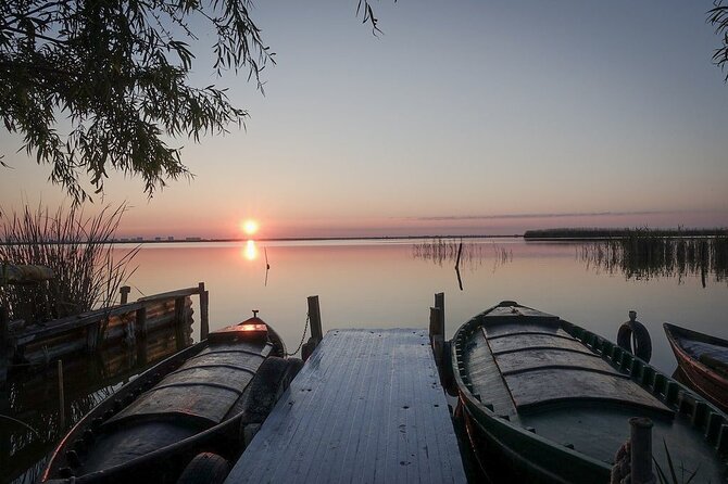 Albufera Natural Park with Sunset Boat Tour from Valencia - Stop 1 at L’Albufera: rice paddies, forests, and local context