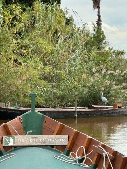 Albufera of Valencia: Guided boat ride around the Albufera - Getting started at El Tío Pastilla Wharf