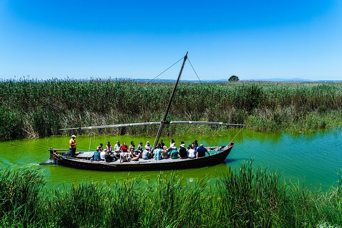 Albufera Private Day Tour: Paella, Boat Cruise and Nature Walk - Tancat de Mília lookout tower: birdwatching you can actually enjoy