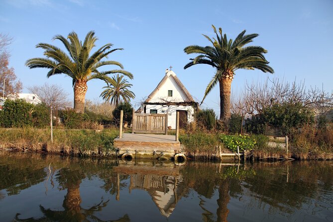 Albufera Private Day Tour: Paella, Boat Cruise and Nature Walk - Price and value: what $258.05 buys you