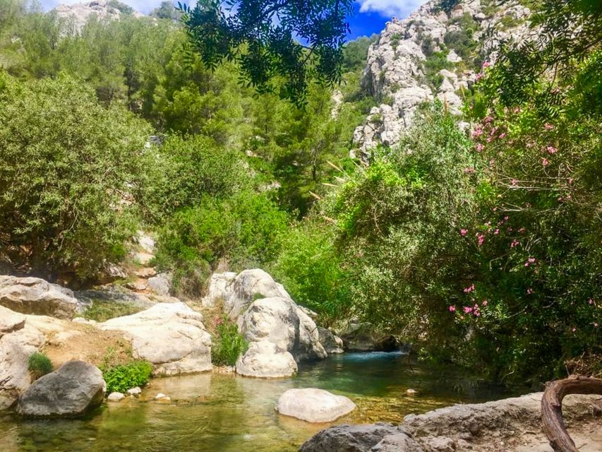 Algar Waterfalls Coach Trip - From Albir & Benidorm - Your 3 hours of free time, how to pace it