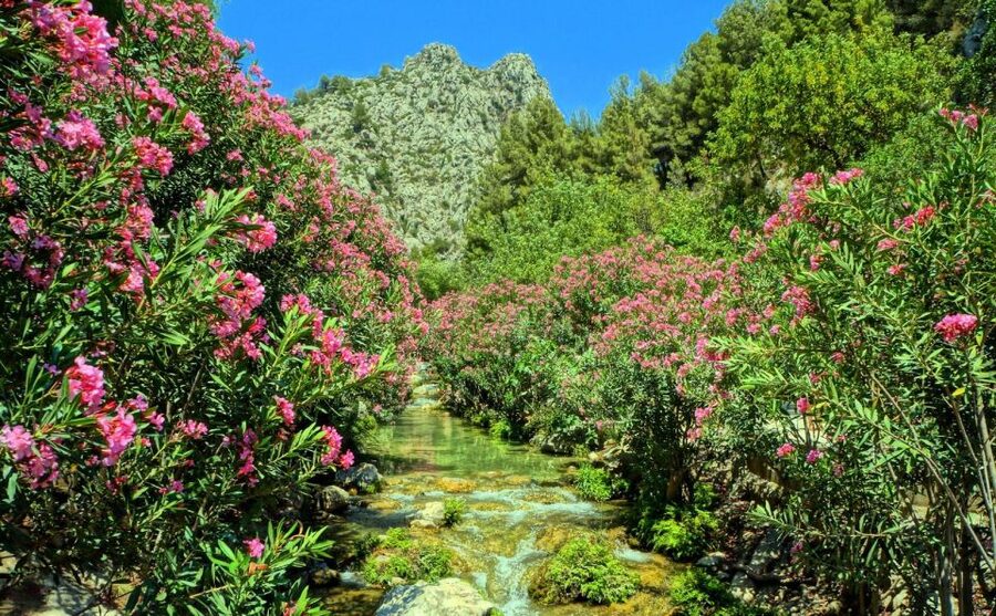 Algar Waterfalls Coach Trip - From Albir & Benidorm - Price and value, what $31 actually buys you