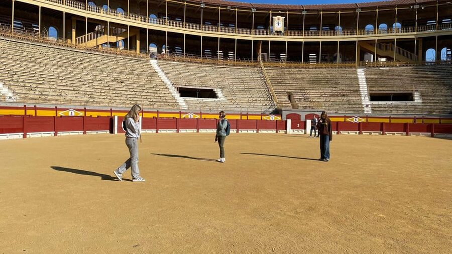 Alicante: Bullring and Bullfighting Museum Entry Ticket - Key Points You Should Know Before You Go