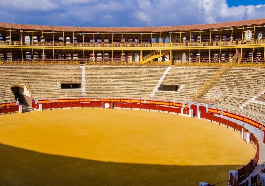 Alicante: Bullring and Castle Guided Tour with Taxi Transfer - Price and logistics: the one caution that matters