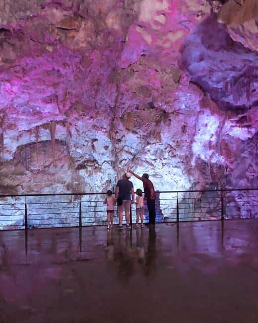 Alicante & Campello: Cueva Canelobre time travel + musical museum - Key highlights to know before you go
