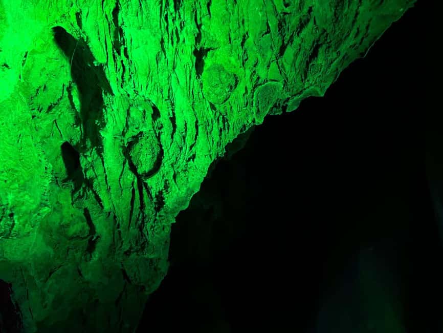 Alicante: Canelobre Caves and Busot Tour - From Alicante pickup to the cave road: why this tour feels easy