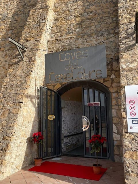 Alicante: Canelobre Caves & Busot Tour including transfer - Price and Value: Is $62 Worth It?