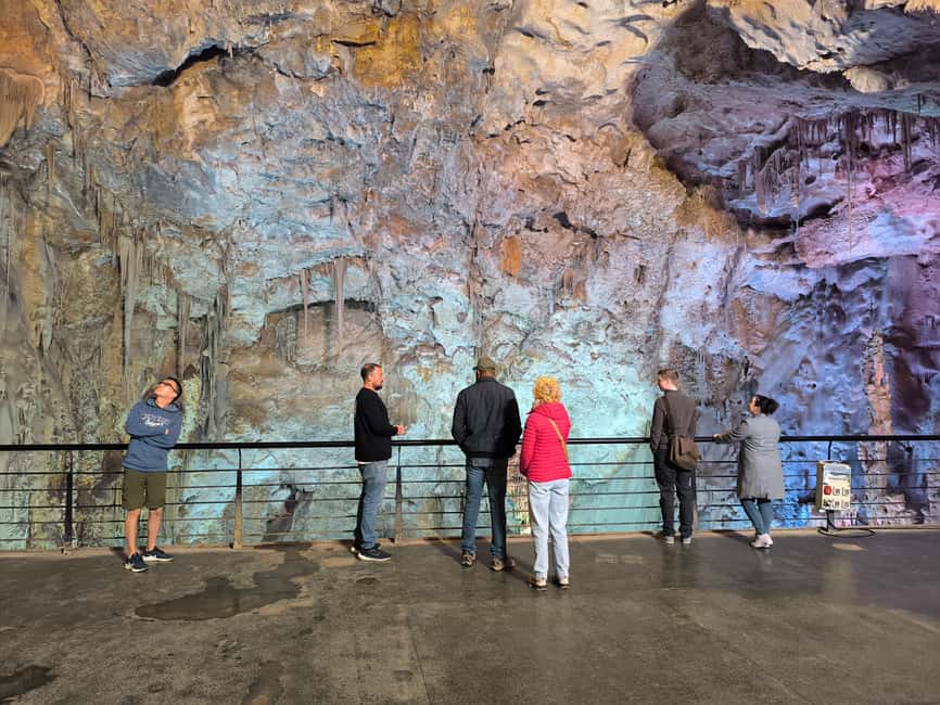 Alicante: Canelobre Caves & Busot Tour with Local Guide - Your guide, the real reason this tour rates so high