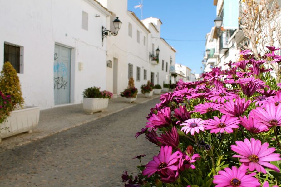 Alicante Charming Villages Tour: Villajoyosa and Altea - Villajoyosa, La Villa, and why the colors feel like a story