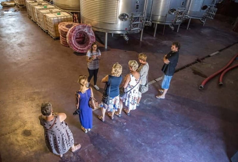 Alicante: Countryside Wine Tour with 4 Tastings - Key highlights at a glance