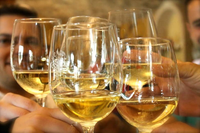 Alicante: Countryside Wine Tour with 4 Tastings - Why a 7-person group makes the Alicante countryside feel personal