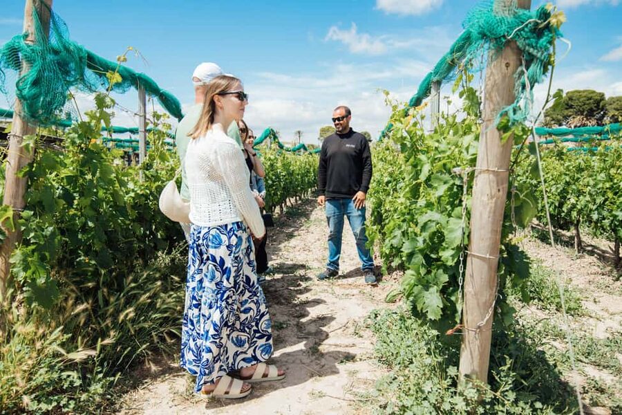 Alicante: Countryside Wine Tour with 4 Tastings - The 30-minute ride toward Vinalopó, with local tips on the way
