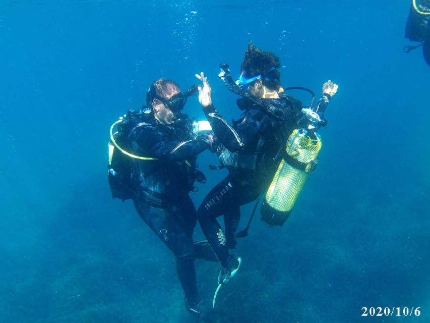 Alicante: Denia Beginners Scuba Diving Experience - Boat Transfer to the Underwater Spot (and What It Changes)