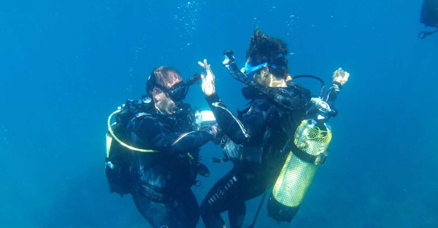 Alicante: Denia Beginners Scuba Diving Experience - What the Instructor Teaching Covers, and Why It Works