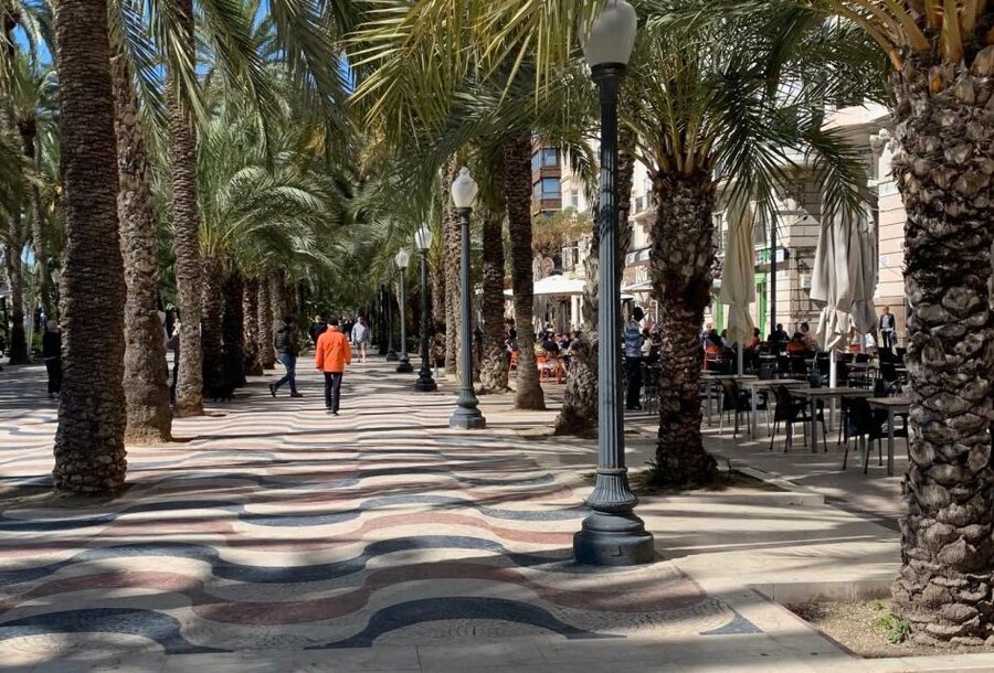 Alicante Discovery Tour - From Albir & Benidorm - Practical Tips So Alicante Feels Like Your Day, Not a Chore