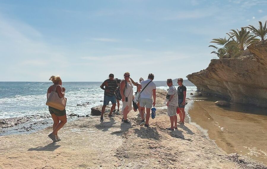 Alicante : E-Bike Coast Tour, Roman Fish Farm and Snorkeling - Should you book this Alicante e-bike, Roman fish farm, and snorkeling tour?
