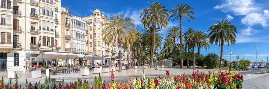 Alicante: Express Walk with a Local in 60 minutes - Passeig Esplanada dEspanya: where Alicante’s coastal mood comes into focus