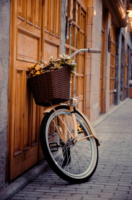 Alicante: Full Day City Bike Rental. - Key Things I’d Focus On Before You Rent