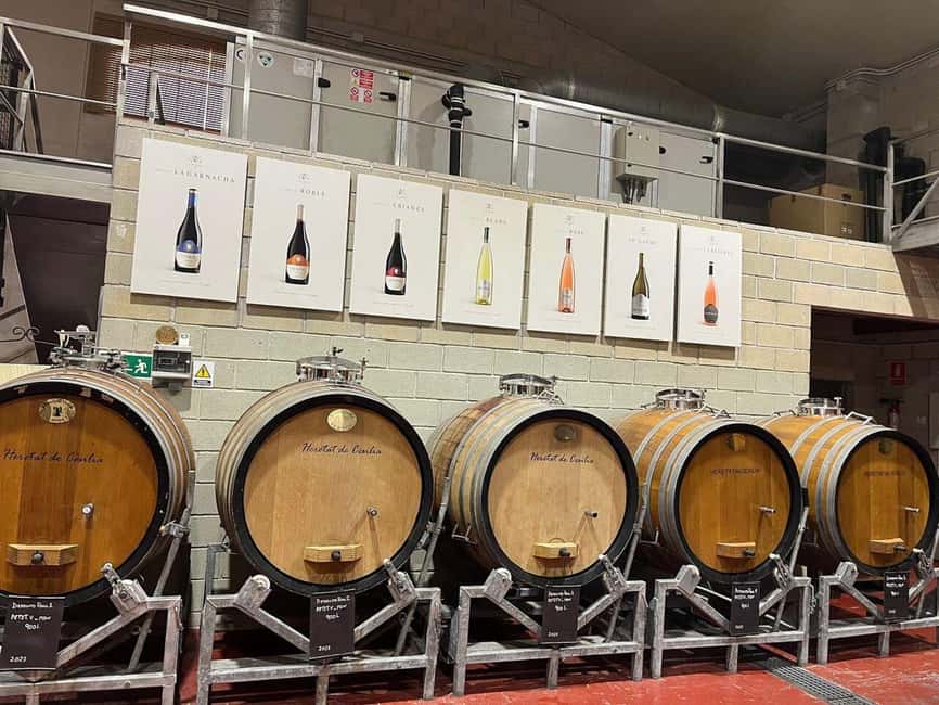 Alicante: Old Winery Tour & Wine Tasting including transfer - Key things I’d mark on your itinerary
