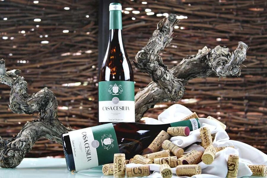 Alicante: Old Winery Tour & Wine Tasting including transfer - Wine tasting at the restaurant: 3 wines, detailed explanations, and included snacks