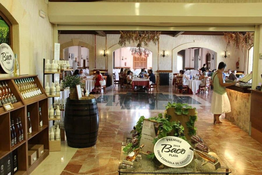 Alicante: Old Winery Tour & Wine Tasting including transfer - Bonus stops with churches and castles, when the guide has time