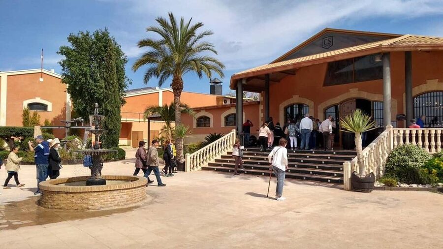 Alicante: Old Winery Tour & Wine Tasting including transfer - Who this wine tour suits best, and who should skip it