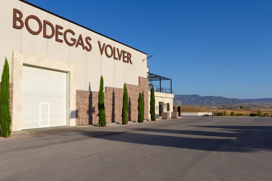 Alicante (Pinoso): Tour Experience Back from the Vineyard to the glass - Bodegas y Viñedos Volver in Pinoso, the vineyard-to-glass story