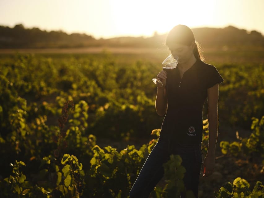 Alicante (Pinoso): Tour Experience Back from the Vineyard to the glass - Timing and language, so you do not miss your slot