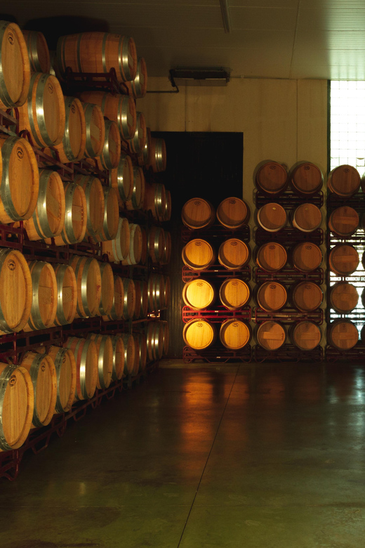 Alicante (Pinoso): Tour Experience Back from the Vineyard to the glass - Accessibility and comfort basics