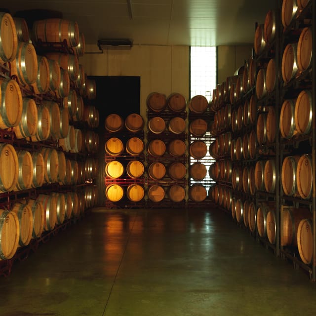 Alicante (Pinoso): Tour Experience Back from the Vineyard to the glass - The vineyard stop: where the tour earns its paycheck