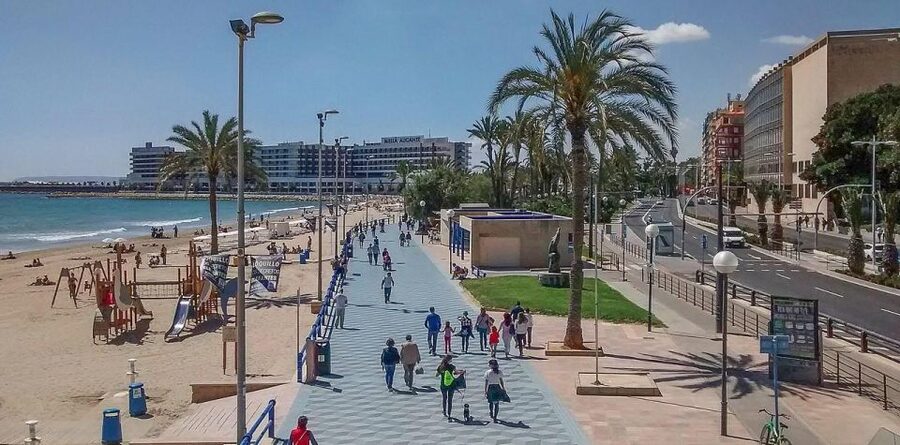 Alicante Private Tour with castle and drinks - The Alicante food market stop, for real-life local rhythms