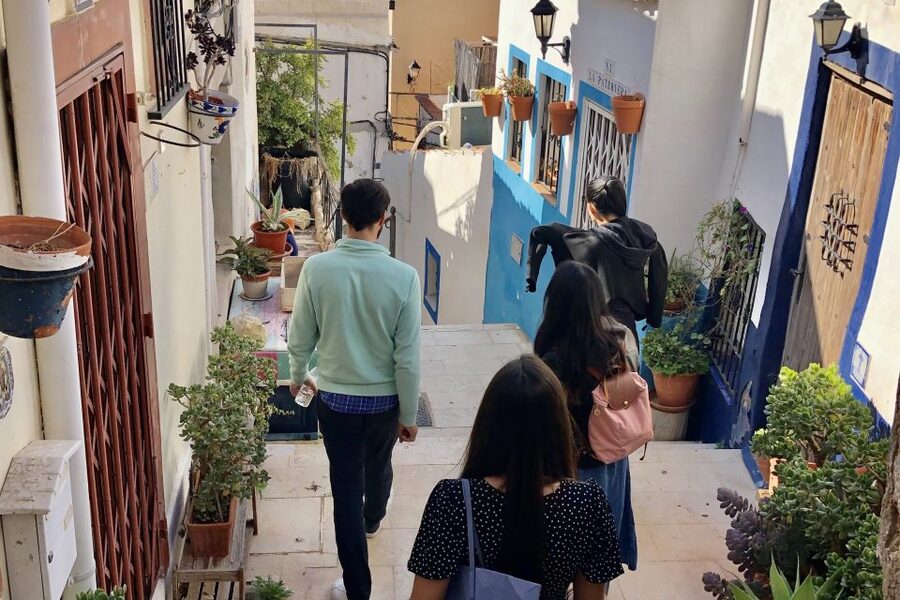 Alicante: Seven Secrets of Alicante Discovery Tour - Central Market Tastings: Your Fast Track Into Local Food Culture