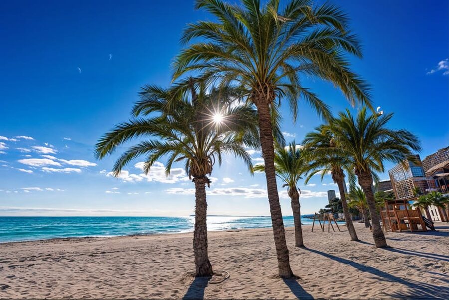 Alicante: Spot the Mediterranean by E-bike - Where to meet Sun-E-Tourism at Pl. Quijano