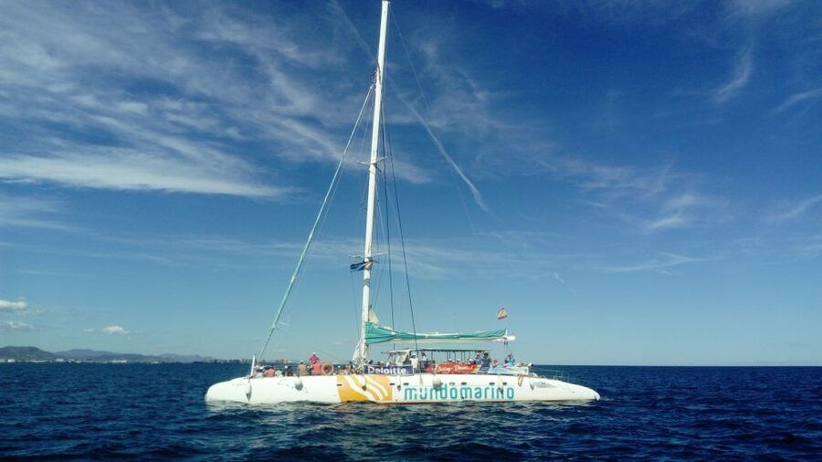 Altea: Boat Tour with Swimming Stop - Getting to the Mundo Marino Catamaran in Altea Port