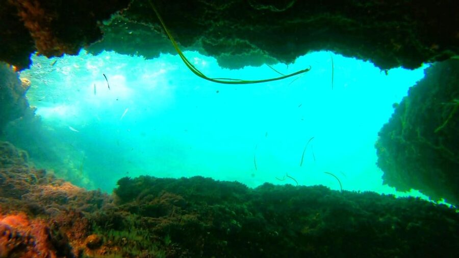 Altea: Guided Kayak Tour - How snorkeling and the Cova visit work in practice