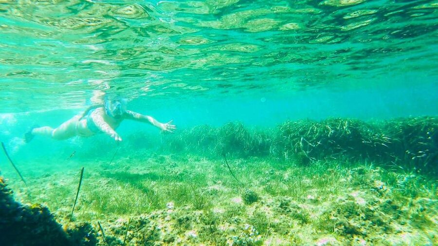 Altea: Guided Kayak Tour - Who this tour is best for, and who should skip it