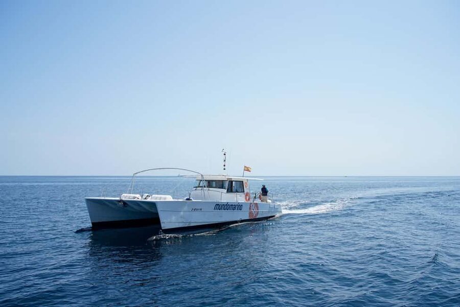 Altea: Motor Catamaran Boat Tour with Sunset Option - Group Comfort and How to Enjoy the Ride More