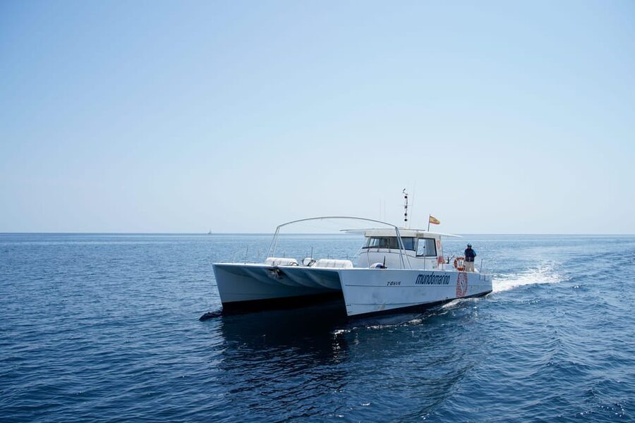 Altea: Motor catamaran with optional lunch and swimming stop - Swim stop near the coast, masks and a realistic swim break