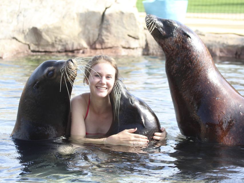 Benidorm: Aqua Natura Amusement Park 1-Day Entry Ticket - Water Chutes You’ll Actually Remember: La Cresta and the 1,000-Meter Flow