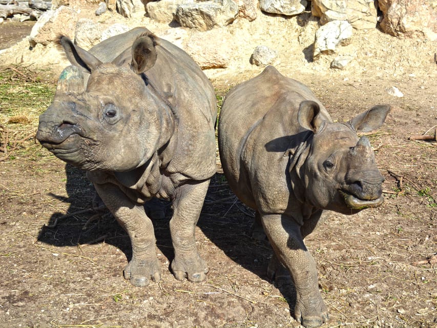 Benidorm: Terra Natura and Aqua Natura Combo Day Ticket - Aqua Natura opening hours: plan around the season, not the calendar