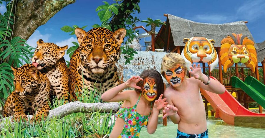 Benidorm: Terra Natura and Aqua Natura Combo Day Ticket - Where Terra Natura and Aqua Natura are, and how to get there