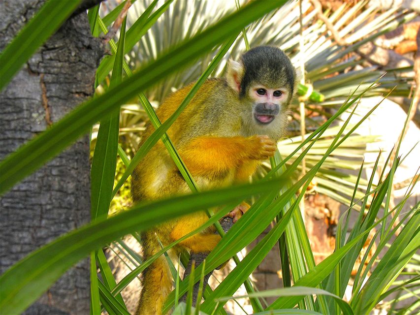 Benidorm: Terra Natura Theme Park 1-Day Tickets - Key things that make Terra Natura Benidorm worth planning for