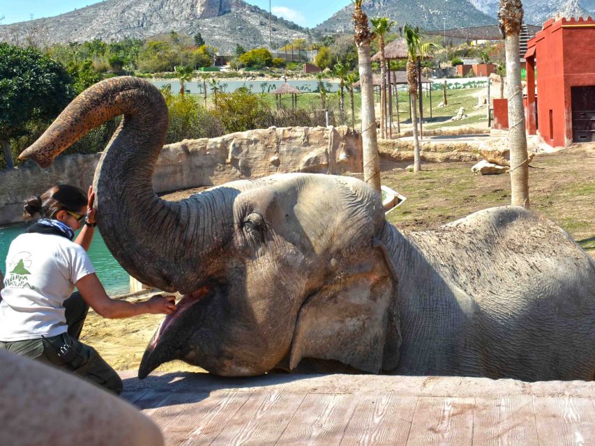 Benidorm: Terra Natura Theme Park 1-Day Tickets - What the park vibe feels like once you enter