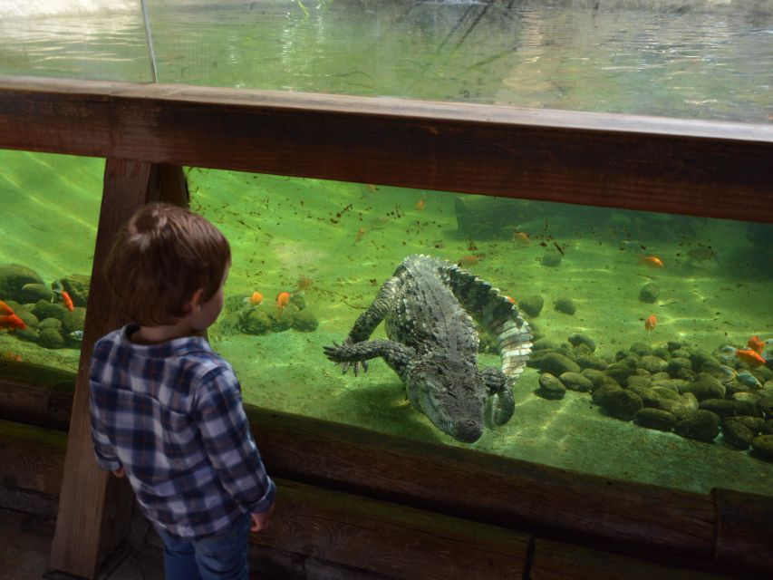 Benidorm: Terra Natura Theme Park 1-Day Tickets - Food, photos, and the small costs that add up